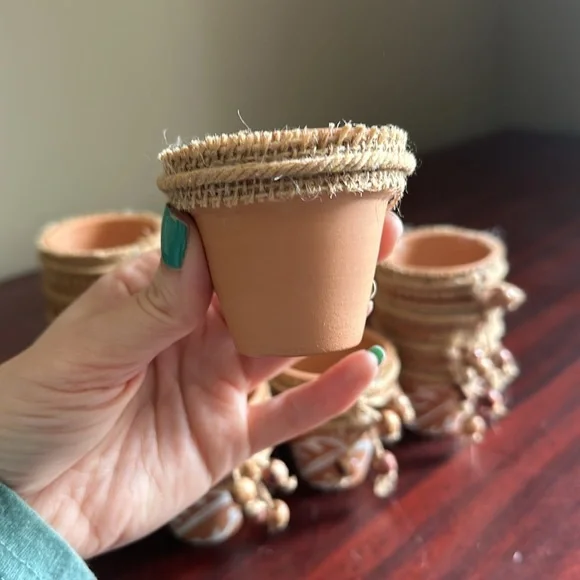 18 Mini Monstera Pots - Picture 3 of 5